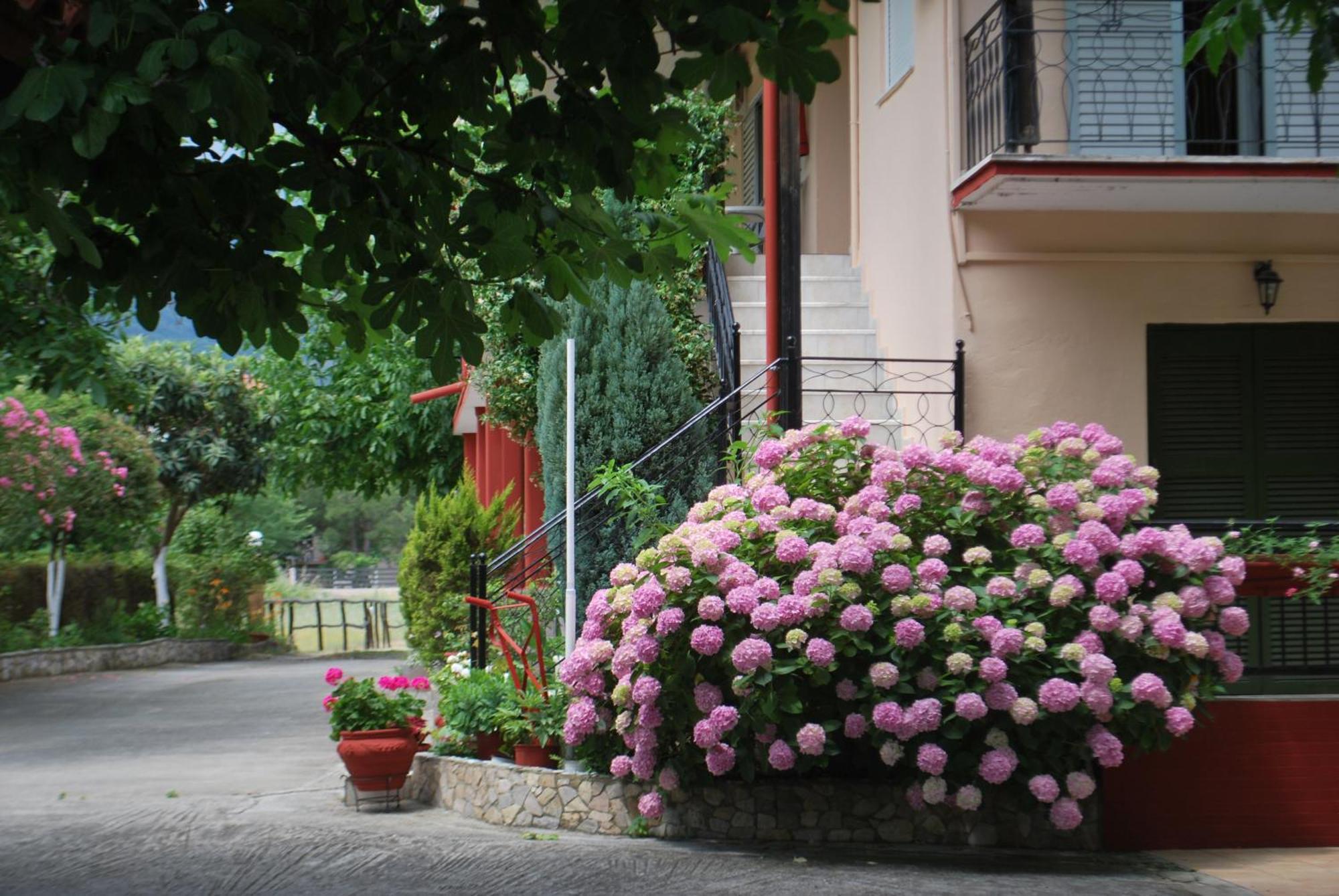 Apartments Stilos Ioannis Paralía Skotínis Dış mekan fotoğraf