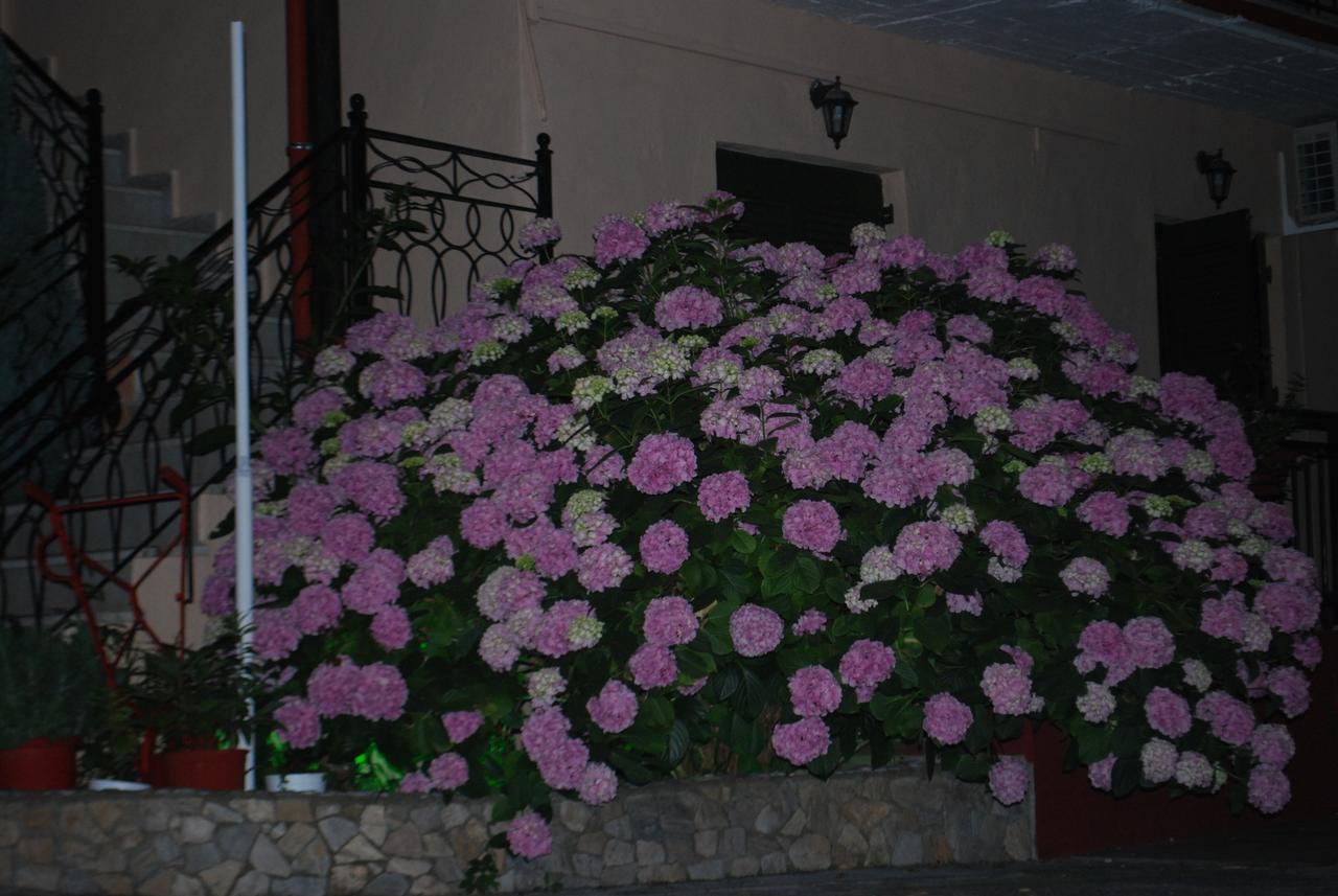 Apartments Stilos Ioannis Paralía Skotínis Dış mekan fotoğraf